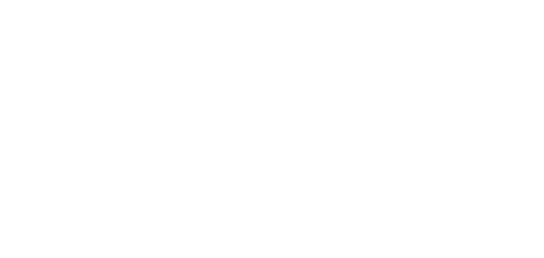 Website Store Logo