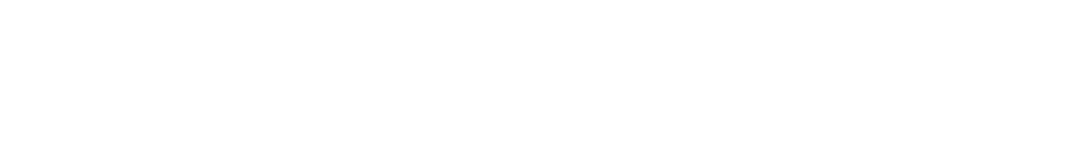 Website Store Miami